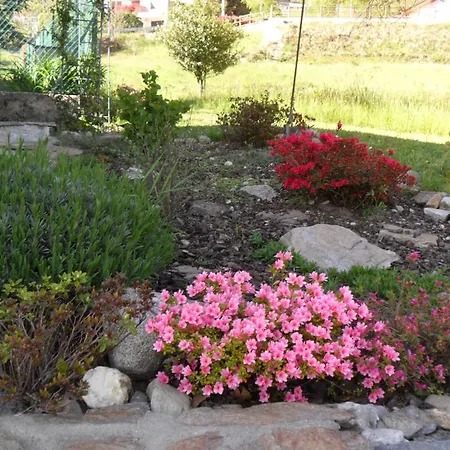 Casetta Dei Lupi Miazzina