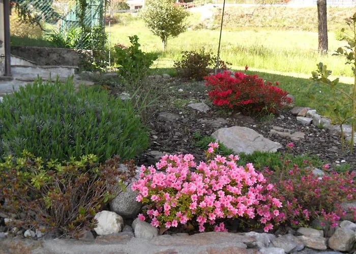 Casetta Dei Lupi Miazzina