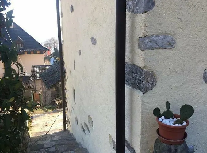 Casetta Dei Lupi Chalet Miazzina